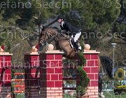 Schuttert Up to Date TosTour2013- S5 2144 : Arezzo, Arezzo Equestrian Centre, Schuttert Hendrik, Toscana Tour 2013, Up to Date, foto di Stefano Secchi ©